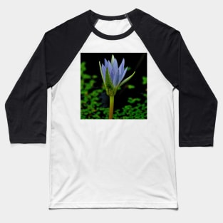 Blue Egyptian Lotus Baseball T-Shirt